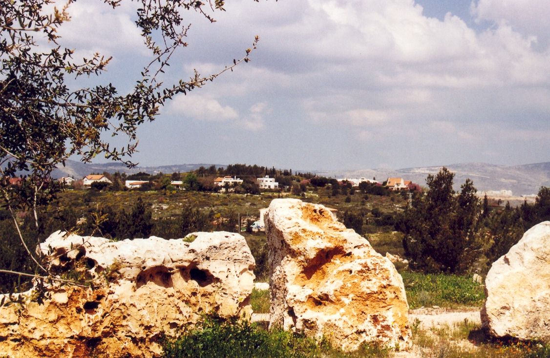 אלבום תמונות מתחלפות באנר עליון אמצעי